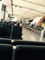 IMG 7047(1)