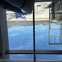 IMG 7051
