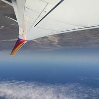 IMG 7092