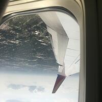 IMG 7107