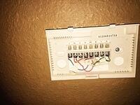 IMG 7131(1)