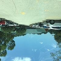IMG 7164