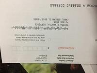 IMG 7228