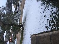 IMG 7286