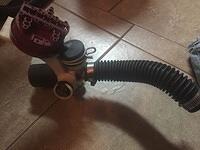 IMG 7824