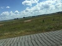IMG 7883