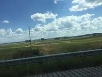 IMG 7885