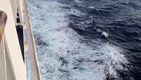 OceanCrusie