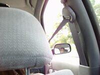Picture 017