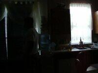 Picture 018