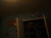 Picture 065