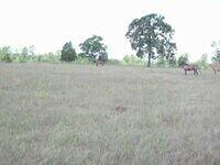Picture 078