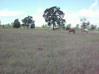 Picture 079